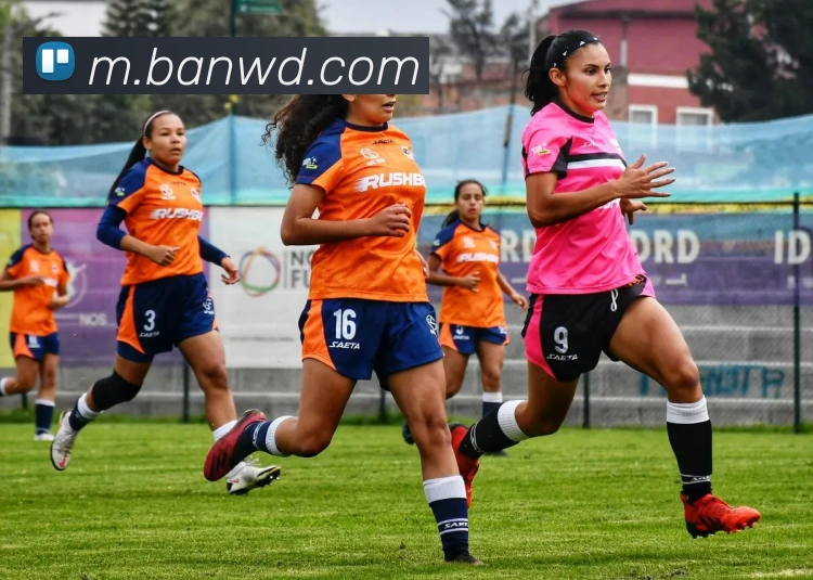 问鼎28平台生态图