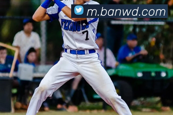 问鼎28APP 封面图